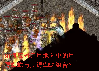 ���Ӧ�Գ��µ�ͼ�е���ħ֩�������֩����ϣ�