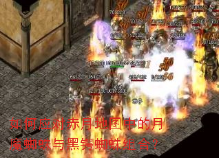 ���Ӧ�Գ��µ�ͼ�е���ħ֩�������֩����ϣ�