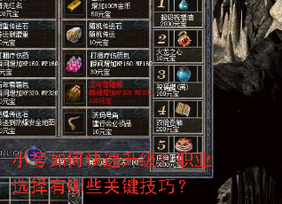 С����ο���������ְҵѡ������Щ�ؼ����ɣ�