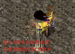 ��ʿ8ת��װ��κϳɣ�������������ս�����