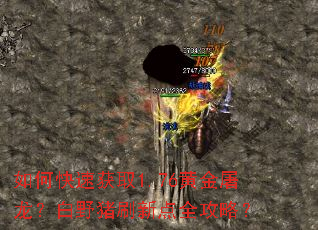 ��ο��ٻ�ȡ1.76�ƽ���������Ұ��ˢ�µ�ȫ���ԣ�