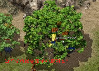 ��γɹ�ͨ������������