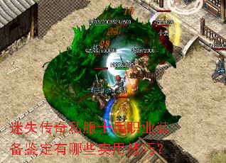 迷失传奇私服士兵职业装备鉴定有哪些实用技巧? 迷失传奇私服士兵职业装备鉴定有哪些实用技巧?