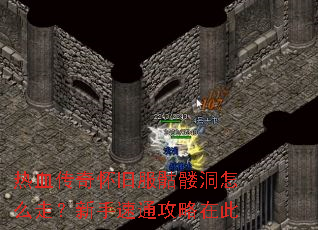 ��Ѫ���滳�ɷ����ö���ô�ߣ�������ͨ�����ڴ�