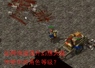 ��ο������������½�����еĽ�ɫ�ȼ���