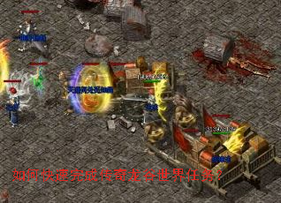 ��ο�����ɴ���������������