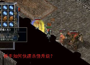 ������ο���ɱ��������