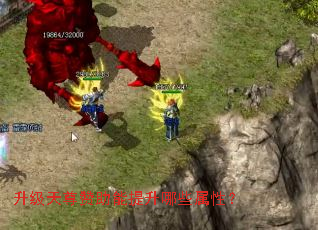 升级天尊赞助能提升哪些属性? 升级天尊赞助能提升哪些属性?