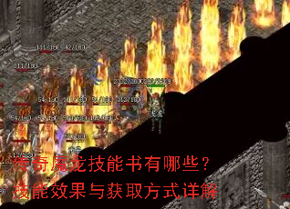 传奇魔龙技能书有哪些?技能效果与获取方式详解 传奇魔龙技能书有哪些?技能效果与获取方式详解