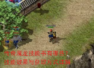 传奇魔龙技能书有哪些?技能效果与获取方式详解 传奇魔龙技能书有哪些?技能效果与获取方式详解