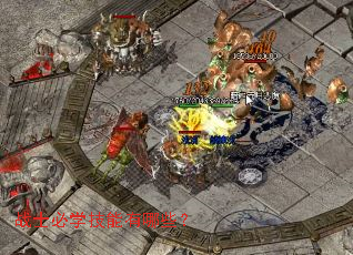 սʿ��ѧ��������Щ��