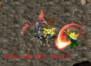 ����ɢ�˸�������Щ����λ�ȡ��