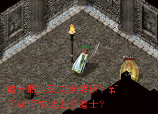 道士职业玩法全解析?新手如何快速上手道士? 道士职业玩法全解析?新手如何快速上手道士?