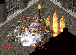 ��ο��ٴ�1������40����