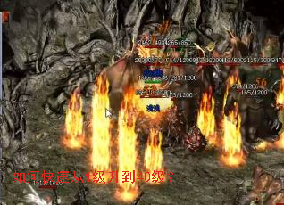 ��ο��ٴ�1������40����