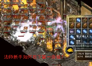 ��ʦ������ι��µ�һ���ǣ�