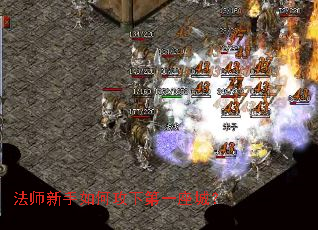 ��ʦ������ι��µ�һ���ǣ�