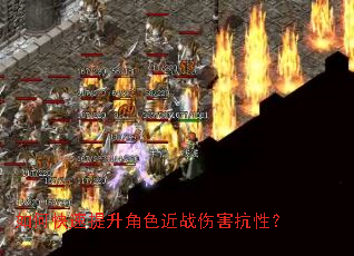 ��ο���������ɫ��ս�˺����ԣ�