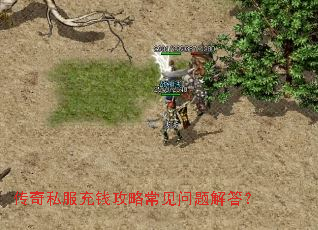 ����˽����Ǯ���Գ���������