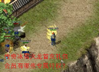 �����ѩ�����׳������Ա����Щר����Ȩ��