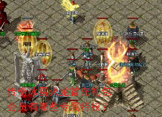 �����ѩ�����׳������Ա����Щר����Ȩ��