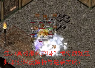 ��ʦ�����ô���𣿴�����Ϸ��ʦְҵ��Ƚ�������Ϯ���ԣ�