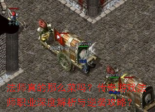 ��ʦ�����ô���𣿴�����Ϸ��ʦְҵ��Ƚ�������Ϯ���ԣ�