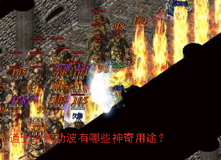 ��ʿ������������Щ������;��