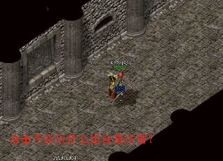 �ϻ�������ʲô�����������