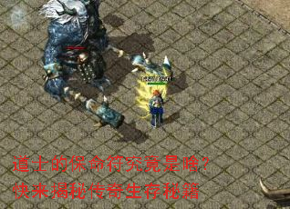 ��ʿ�ı�����������ɶ���������ش��������ؼ�