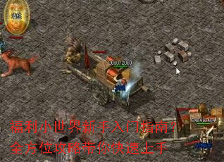 福利小世界新手入门指南?全方位攻略带你快速上手 福利小世界新手入门指南?全方位攻略带你快速上手