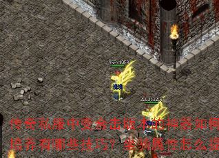 传奇私服中变合击版本的神器如何获取?宠物培养有哪些技巧?坐骑属性怎么提升最快? 传奇私服中变合击版本的神器如何获取?宠物培养有哪些技巧?坐骑属性怎么提升最快?