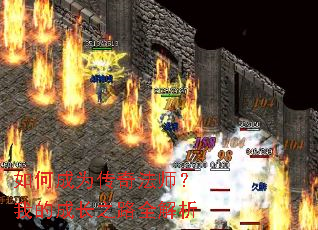 如何成为传奇法师?我的成长之路全解析 如何成为传奇法师?我的成长之路全解析