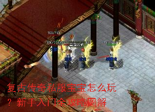 复古传奇私服宝宝怎么玩?新手入门全攻略图解 复古传奇私服宝宝怎么玩?新手入门全攻略图解