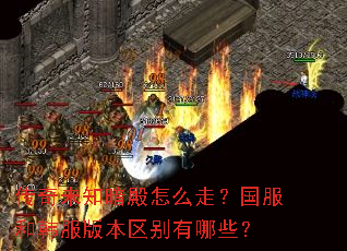 ����δ֪������ô�ߣ������ͺ����汾��������Щ��