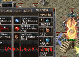 ��ʦ���弼��Ϊ���ܱ��͹���