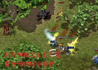 ���������ô�򣿱�ѩ���湥��ȫ����