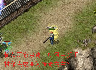 �ǻ������������δ����ִ�����ɱ�Ϊ���������