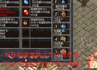 ����˽������֮��������˭��ְҵʵ���۷�Ծ��ռ�������