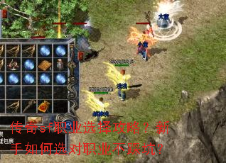 ����sfְҵѡ���ԣ��������ѡ��ְҵ���ȿӣ�