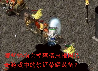 ��Щ�������侫�ұ���������Ϸ�еĽ�����ҫװ����