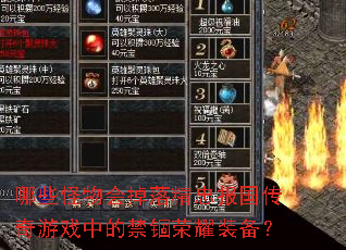 ��Щ�������侫�ұ���������Ϸ�еĽ�����ҫװ����