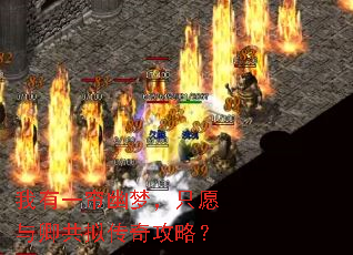 ����һ�����Σ�ֻԸ���乲�⴫�湥�ԣ�