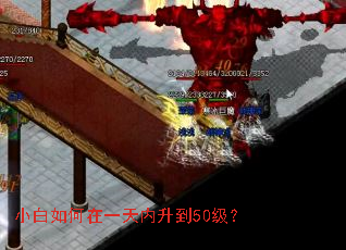 С�������һ��������50����