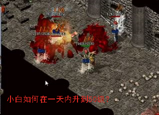 С�������һ��������50����