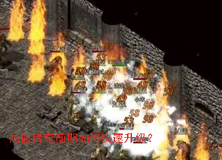 ��Ѫ����ǰ����ο���������