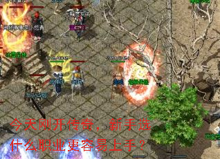 今天刚开传奇,新手选什么职业更容易上手? 今天刚开传奇,新手选什么职业更容易上手?