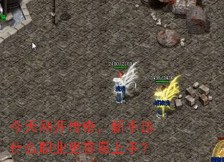 今天刚开传奇,新手选什么职业更容易上手? 今天刚开传奇,新手选什么职业更容易上手?