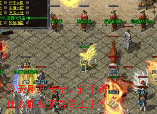 今天刚开传奇,新手选什么职业更容易上手? 今天刚开传奇,新手选什么职业更容易上手?