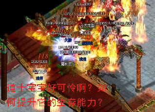 ��ʿ�����ÿ����������������������������